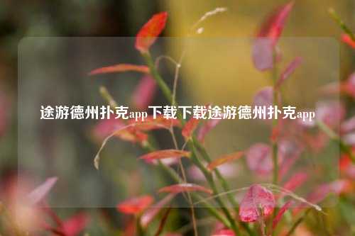 途游德州扑克app下载下载途游德州扑克app