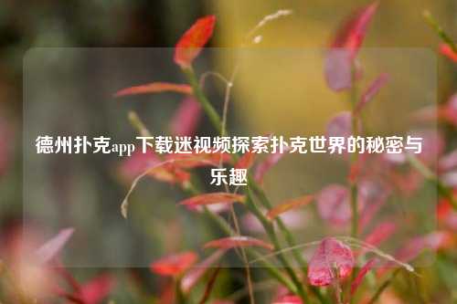 德州扑克app下载迷视频探索扑克世界的秘密与乐趣
