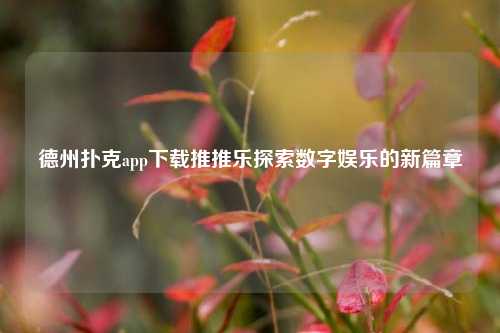 德州扑克app下载推推乐探索数字娱乐的新篇章