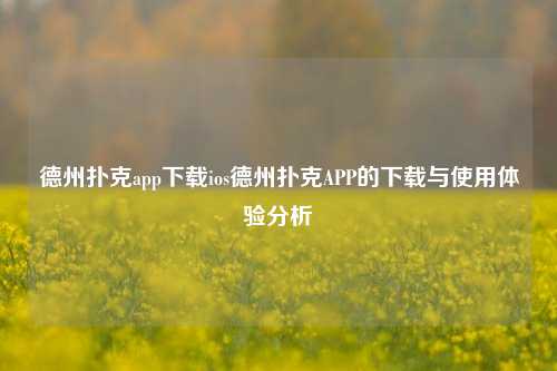 德州扑克app下载ios德州扑克APP的下载与使用体验分析