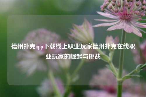 德州扑克app下载线上职业玩家德州扑克在线职业玩家的崛起与挑战