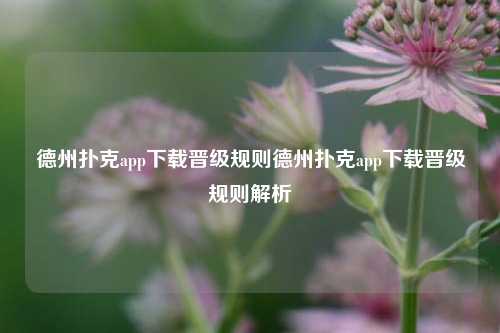 德州扑克app下载晋级规则德州扑克app下载晋级规则解析