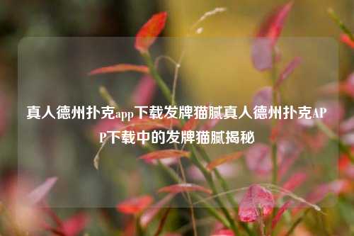 真人德州扑克app下载发牌猫腻真人德州扑克APP下载中的发牌猫腻揭秘