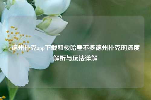 德州扑克app下载和梭哈差不多德州扑克的深度解析与玩法详解