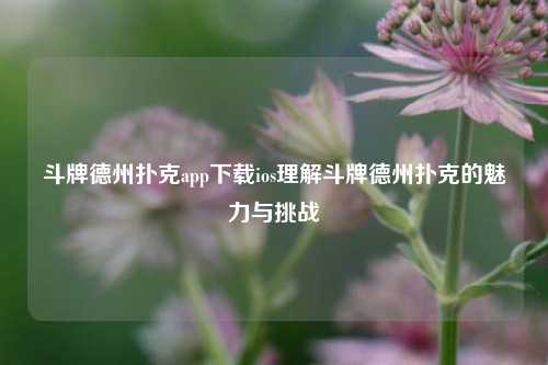 斗牌德州扑克app下载ios理解斗牌德州扑克的魅力与挑战
