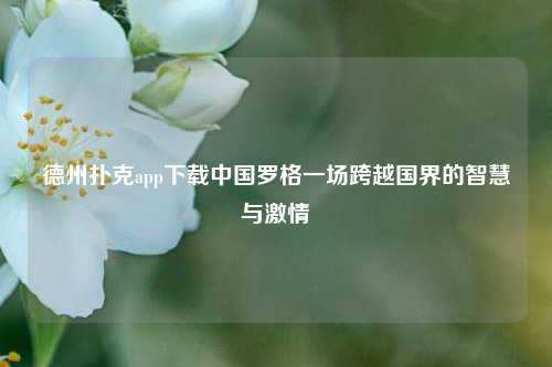 德州扑克app下载中国罗格一场跨越国界的智慧与激情
