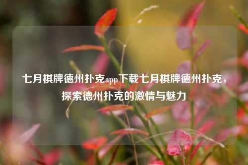 七月棋牌德州扑克app下载七月棋牌德州扑克，探索德州扑克的激情与魅力