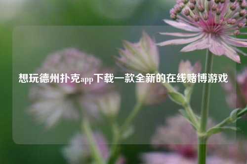 想玩德州扑克app下载一款全新的在线赌博游戏