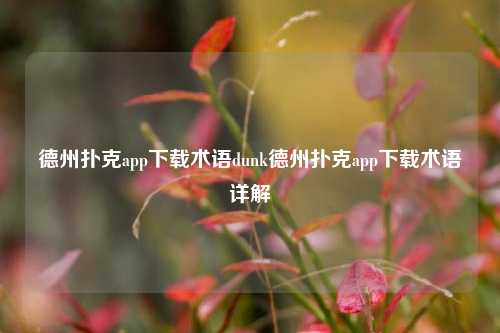 德州扑克app下载术语dunk德州扑克app下载术语详解
