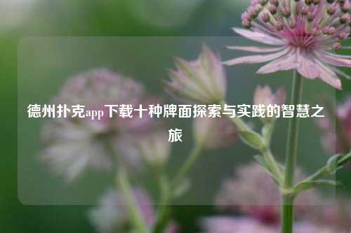 德州扑克app下载十种牌面探索与实践的智慧之旅
