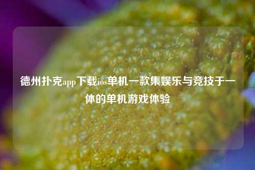 德州扑克app下载ios单机一款集娱乐与竞技于一体的单机游戏体验
