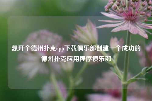 想开个德州扑克app下载俱乐部创建一个成功的德州扑克应用程序俱乐部