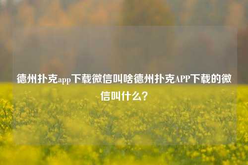德州扑克app下载微信叫啥德州扑克APP下载的微信叫什么？
