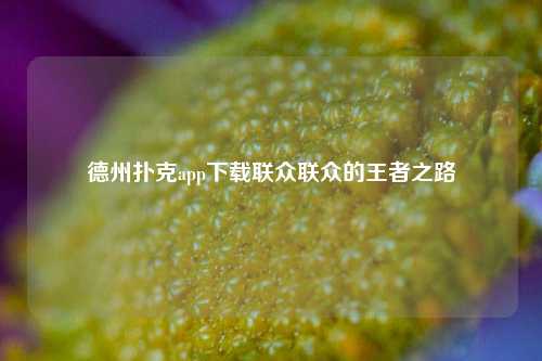 德州扑克app下载联众联众的王者之路