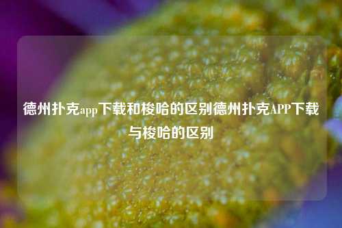 德州扑克app下载和梭哈的区别德州扑克APP下载与梭哈的区别