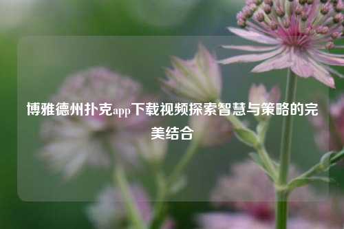 博雅德州扑克app下载视频探索智慧与策略的完美结合