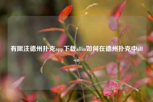 有限注德州扑克app下载allin如何在德州扑克中all-in
