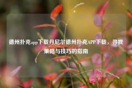 德州扑克app下载丹尼尔德州扑克APP下载，寻找策略与技巧的指南