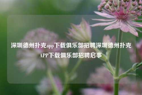 深圳德州扑克app下载俱乐部招聘深圳德州扑克APP下载俱乐部招聘启事