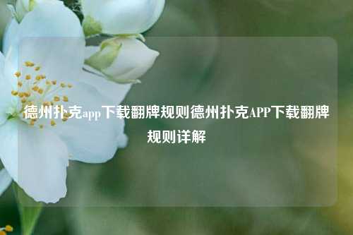 德州扑克app下载翻牌规则德州扑克APP下载翻牌规则详解