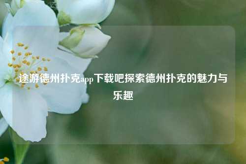 途游德州扑克app下载吧探索德州扑克的魅力与乐趣