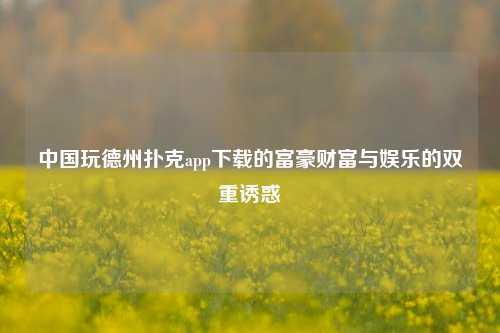 中国玩德州扑克app下载的富豪财富与娱乐的双重诱惑