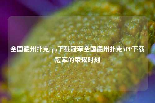 全国德州扑克app下载冠军全国德州扑克APP下载冠军的荣耀时刻