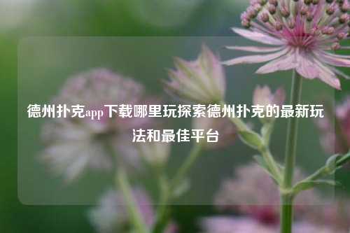 德州扑克app下载哪里玩探索德州扑克的最新玩法和最佳平台
