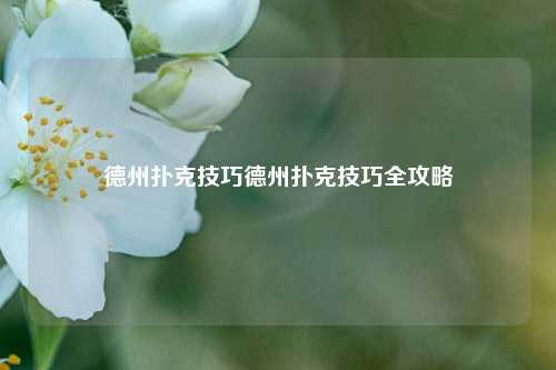 德州扑克技巧德州扑克技巧全攻略