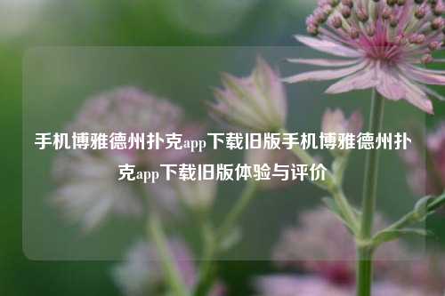 手机博雅德州扑克app下载旧版手机博雅德州扑克app下载旧版体验与评价