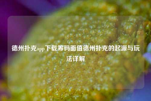 德州扑克app下载筹码面值德州扑克的起源与玩法详解