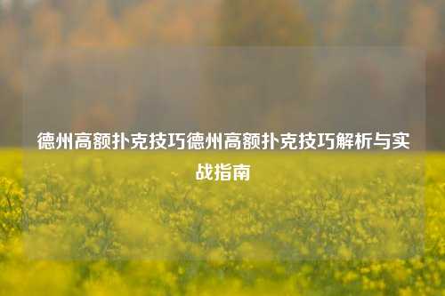 德州高额扑克技巧德州高额扑克技巧解析与实战指南