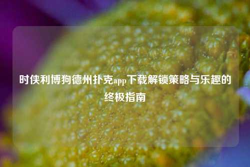 时侠利博狗德州扑克app下载解锁策略与乐趣的终极指南