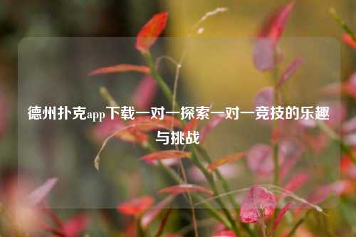 德州扑克app下载一对一探索一对一竞技的乐趣与挑战