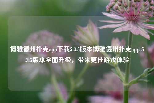 博雅德州扑克app下载5.3.5版本博雅德州扑克app 5.3.5版本全面升级，带来更佳游戏体验