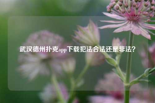 武汉德州扑克app下载犯法合法还是非法？