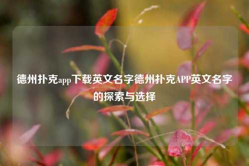 德州扑克app下载英文名字德州扑克APP英文名字的探索与选择