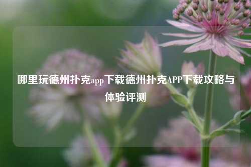 哪里玩德州扑克app下载德州扑克APP下载攻略与体验评测