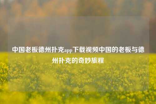 中国老板德州扑克app下载视频中国的老板与德州扑克的奇妙旅程