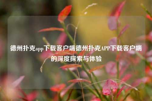 德州扑克app下载客户端德州扑克APP下载客户端的深度探索与体验