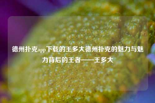 德州扑克app下载的王多大德州扑克的魅力与魅力背后的王者——王多大