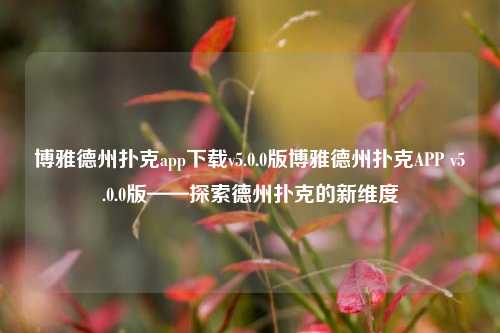 博雅德州扑克app下载v5.0.0版博雅德州扑克APP v5.0.0版——探索德州扑克的新维度