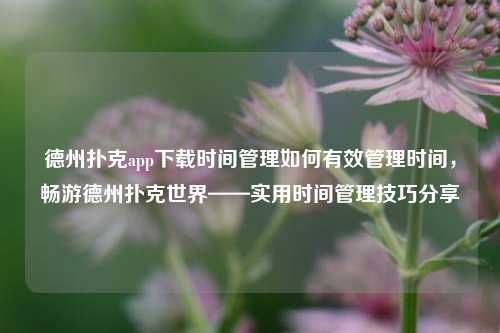 德州扑克app下载时间管理如何有效管理时间，畅游德州扑克世界——实用时间管理技巧分享