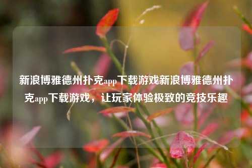 新浪博雅德州扑克app下载游戏新浪博雅德州扑克app下载游戏，让玩家体验极致的竞技乐趣