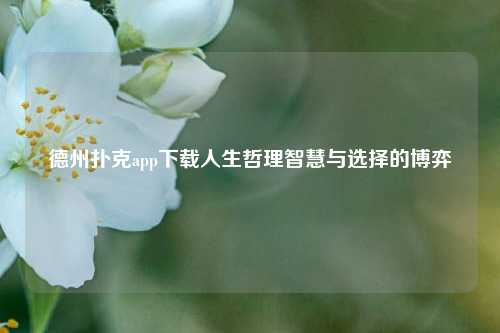 德州扑克app下载人生哲理智慧与选择的博弈