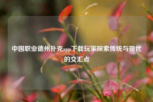 中国职业德州扑克app下载玩家探索传统与现代的交汇点