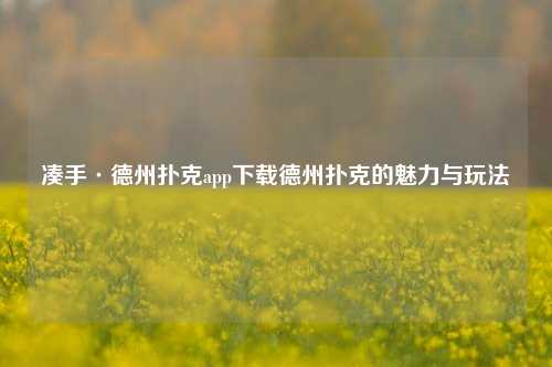 凑手·德州扑克app下载德州扑克的魅力与玩法