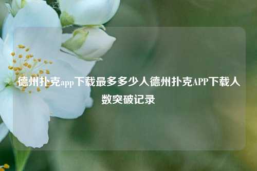 德州扑克app下载最多多少人德州扑克APP下载人数突破记录