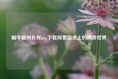 蜗牛德州扑克app下载探索指尖上的博弈世界