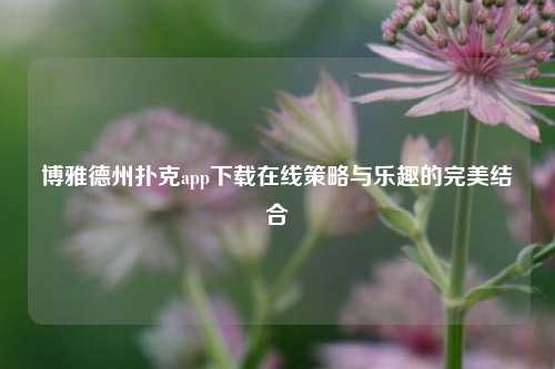 博雅德州扑克app下载在线策略与乐趣的完美结合